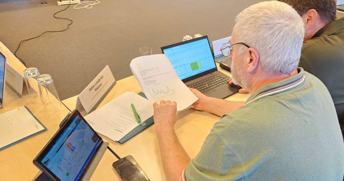 Introduktion til systemydelser | DanskFjernvarme