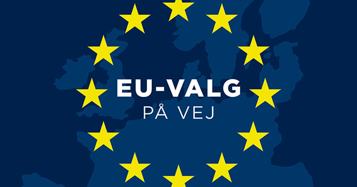 EU-valg forude: Dansk Fjernvarme giver indsigt | DanskFjernvarme